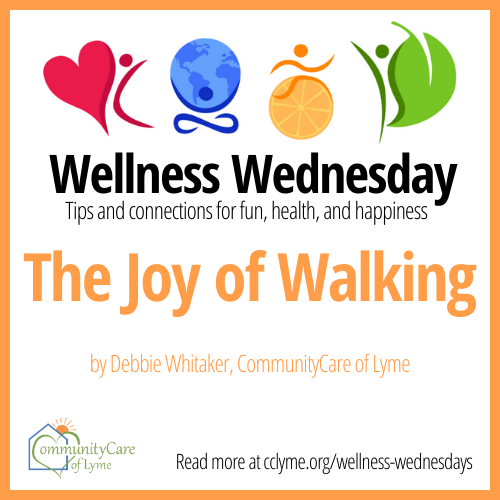 Joy of Walking