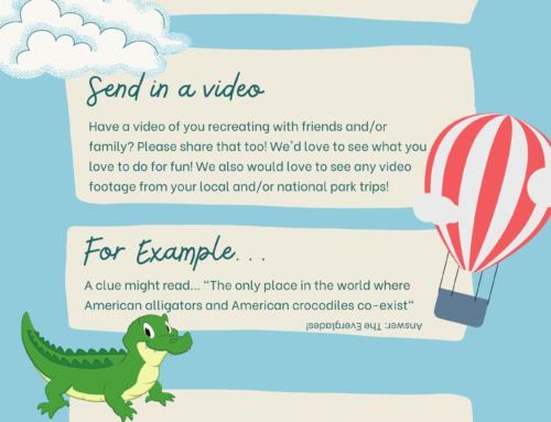 Parks and Recreation Month  – Community  wide Game